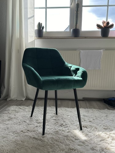 Set esszimmer stuhl grün - 4,